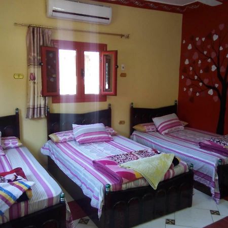 El-Amin Guest House Aswan Ngoại thất bức ảnh