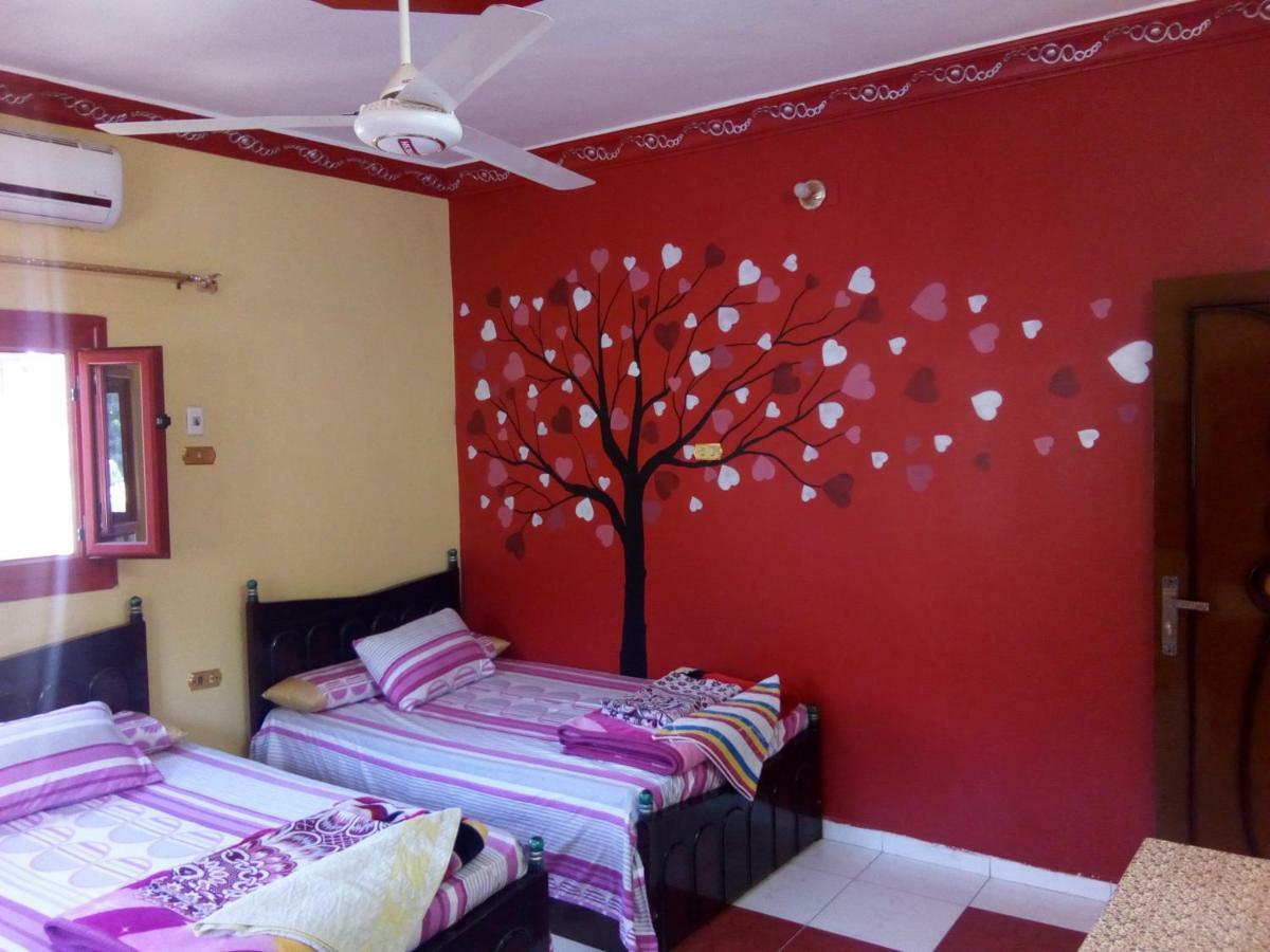 El-Amin Guest House Aswan Ngoại thất bức ảnh