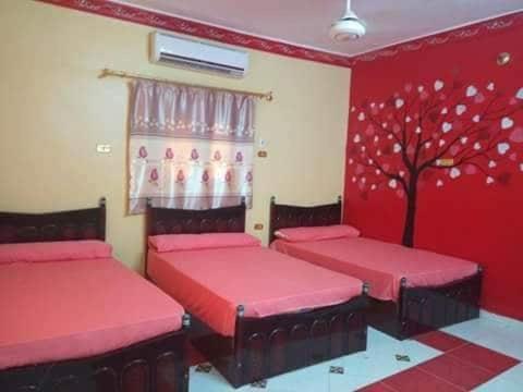El-Amin Guest House Aswan Ngoại thất bức ảnh